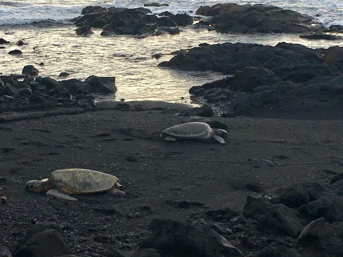Mauna Kai'Iki Pahala Exteriör bild
